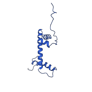 40604_8smw_C_v1-1
Cryo-EM structure of the human nucleosome core particle in complex with RNF168 and UbcH5c~Ub (UbcH5c chemically conjugated to histone H2A. No density for Ub.) (class 1)