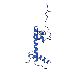 40604_8smw_C_v1-2
Cryo-EM structure of the human nucleosome core particle in complex with RNF168 and UbcH5c~Ub (UbcH5c chemically conjugated to histone H2A. No density for Ub.) (class 1)