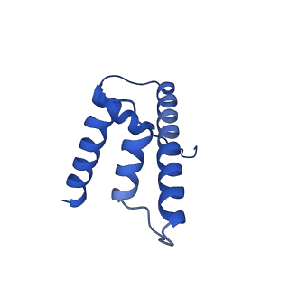 40604_8smw_D_v1-2
Cryo-EM structure of the human nucleosome core particle in complex with RNF168 and UbcH5c~Ub (UbcH5c chemically conjugated to histone H2A. No density for Ub.) (class 1)