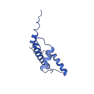 40604_8smw_E_v1-1
Cryo-EM structure of the human nucleosome core particle in complex with RNF168 and UbcH5c~Ub (UbcH5c chemically conjugated to histone H2A. No density for Ub.) (class 1)