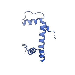 40604_8smw_F_v1-2
Cryo-EM structure of the human nucleosome core particle in complex with RNF168 and UbcH5c~Ub (UbcH5c chemically conjugated to histone H2A. No density for Ub.) (class 1)