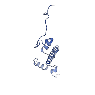40604_8smw_G_v1-1
Cryo-EM structure of the human nucleosome core particle in complex with RNF168 and UbcH5c~Ub (UbcH5c chemically conjugated to histone H2A. No density for Ub.) (class 1)