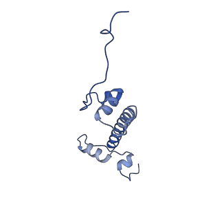 40604_8smw_G_v1-2
Cryo-EM structure of the human nucleosome core particle in complex with RNF168 and UbcH5c~Ub (UbcH5c chemically conjugated to histone H2A. No density for Ub.) (class 1)