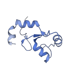 40604_8smw_K_v1-2
Cryo-EM structure of the human nucleosome core particle in complex with RNF168 and UbcH5c~Ub (UbcH5c chemically conjugated to histone H2A. No density for Ub.) (class 1)