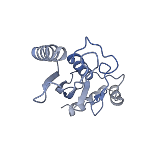 40604_8smw_L_v1-2
Cryo-EM structure of the human nucleosome core particle in complex with RNF168 and UbcH5c~Ub (UbcH5c chemically conjugated to histone H2A. No density for Ub.) (class 1)