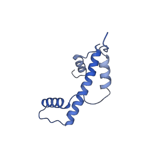 40605_8smx_A_v1-2
Cryo-EM structure of the human nucleosome core particle in complex with RNF168 and UbcH5c~Ub (UbcH5c chemically conjugated to histone H2A. No density for Ub.) (class 2)