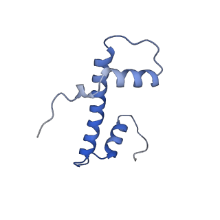 40605_8smx_B_v1-2
Cryo-EM structure of the human nucleosome core particle in complex with RNF168 and UbcH5c~Ub (UbcH5c chemically conjugated to histone H2A. No density for Ub.) (class 2)