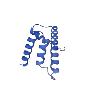 40605_8smx_D_v1-2
Cryo-EM structure of the human nucleosome core particle in complex with RNF168 and UbcH5c~Ub (UbcH5c chemically conjugated to histone H2A. No density for Ub.) (class 2)