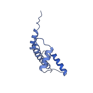 40605_8smx_E_v1-1
Cryo-EM structure of the human nucleosome core particle in complex with RNF168 and UbcH5c~Ub (UbcH5c chemically conjugated to histone H2A. No density for Ub.) (class 2)
