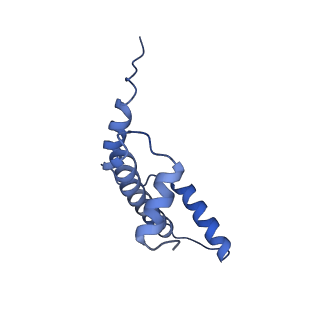 40605_8smx_E_v1-2
Cryo-EM structure of the human nucleosome core particle in complex with RNF168 and UbcH5c~Ub (UbcH5c chemically conjugated to histone H2A. No density for Ub.) (class 2)