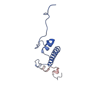 40605_8smx_G_v1-2
Cryo-EM structure of the human nucleosome core particle in complex with RNF168 and UbcH5c~Ub (UbcH5c chemically conjugated to histone H2A. No density for Ub.) (class 2)