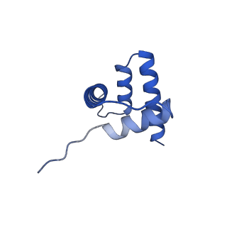 40605_8smx_H_v1-2
Cryo-EM structure of the human nucleosome core particle in complex with RNF168 and UbcH5c~Ub (UbcH5c chemically conjugated to histone H2A. No density for Ub.) (class 2)