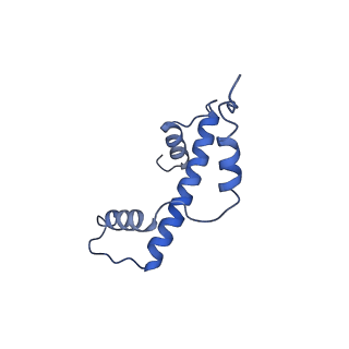 40606_8smy_A_v1-1
Cryo-EM structure of the human nucleosome core particle in complex with RNF168 and UbcH5c~Ub (UbcH5c chemically conjugated to histone H2A. No density for Ub.) (class 3)