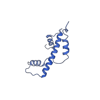 40606_8smy_A_v1-2
Cryo-EM structure of the human nucleosome core particle in complex with RNF168 and UbcH5c~Ub (UbcH5c chemically conjugated to histone H2A. No density for Ub.) (class 3)