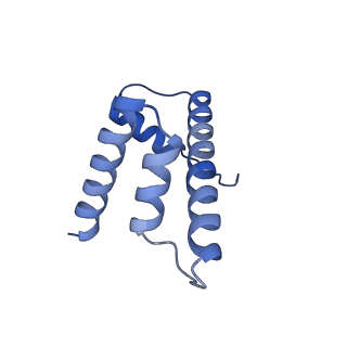 40606_8smy_D_v1-2
Cryo-EM structure of the human nucleosome core particle in complex with RNF168 and UbcH5c~Ub (UbcH5c chemically conjugated to histone H2A. No density for Ub.) (class 3)