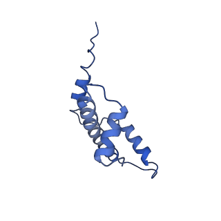 40606_8smy_E_v1-1
Cryo-EM structure of the human nucleosome core particle in complex with RNF168 and UbcH5c~Ub (UbcH5c chemically conjugated to histone H2A. No density for Ub.) (class 3)