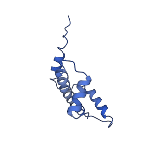 40606_8smy_E_v1-2
Cryo-EM structure of the human nucleosome core particle in complex with RNF168 and UbcH5c~Ub (UbcH5c chemically conjugated to histone H2A. No density for Ub.) (class 3)