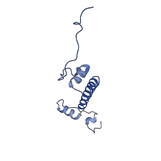 40606_8smy_G_v1-1
Cryo-EM structure of the human nucleosome core particle in complex with RNF168 and UbcH5c~Ub (UbcH5c chemically conjugated to histone H2A. No density for Ub.) (class 3)