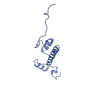 40606_8smy_G_v1-2
Cryo-EM structure of the human nucleosome core particle in complex with RNF168 and UbcH5c~Ub (UbcH5c chemically conjugated to histone H2A. No density for Ub.) (class 3)