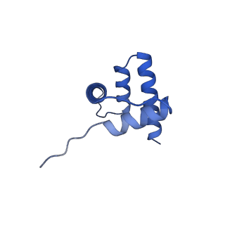 40606_8smy_H_v1-2
Cryo-EM structure of the human nucleosome core particle in complex with RNF168 and UbcH5c~Ub (UbcH5c chemically conjugated to histone H2A. No density for Ub.) (class 3)