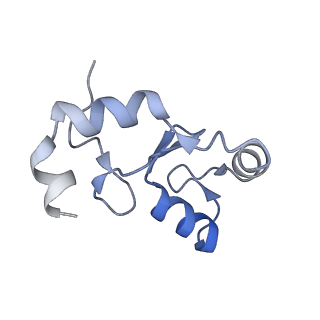 40606_8smy_K_v1-2
Cryo-EM structure of the human nucleosome core particle in complex with RNF168 and UbcH5c~Ub (UbcH5c chemically conjugated to histone H2A. No density for Ub.) (class 3)