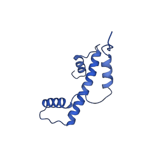 40607_8smz_A_v1-2
Cryo-EM structure of the human nucleosome core particle in complex with RNF168 and UbcH5c~Ub (UbcH5c chemically conjugated to histone H2A. No density for Ub.) (Class 4)