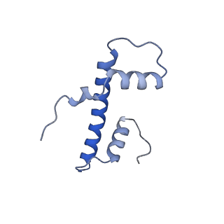 40607_8smz_B_v1-2
Cryo-EM structure of the human nucleosome core particle in complex with RNF168 and UbcH5c~Ub (UbcH5c chemically conjugated to histone H2A. No density for Ub.) (Class 4)