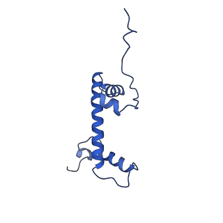 40607_8smz_C_v1-2
Cryo-EM structure of the human nucleosome core particle in complex with RNF168 and UbcH5c~Ub (UbcH5c chemically conjugated to histone H2A. No density for Ub.) (Class 4)