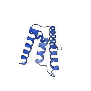 40607_8smz_D_v1-2
Cryo-EM structure of the human nucleosome core particle in complex with RNF168 and UbcH5c~Ub (UbcH5c chemically conjugated to histone H2A. No density for Ub.) (Class 4)