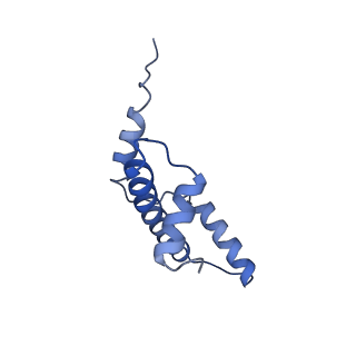 40607_8smz_E_v1-1
Cryo-EM structure of the human nucleosome core particle in complex with RNF168 and UbcH5c~Ub (UbcH5c chemically conjugated to histone H2A. No density for Ub.) (Class 4)