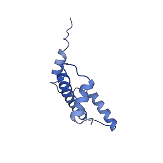 40607_8smz_E_v1-2
Cryo-EM structure of the human nucleosome core particle in complex with RNF168 and UbcH5c~Ub (UbcH5c chemically conjugated to histone H2A. No density for Ub.) (Class 4)