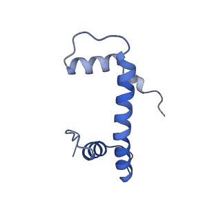 40607_8smz_F_v1-2
Cryo-EM structure of the human nucleosome core particle in complex with RNF168 and UbcH5c~Ub (UbcH5c chemically conjugated to histone H2A. No density for Ub.) (Class 4)