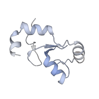 40607_8smz_K_v1-2
Cryo-EM structure of the human nucleosome core particle in complex with RNF168 and UbcH5c~Ub (UbcH5c chemically conjugated to histone H2A. No density for Ub.) (Class 4)