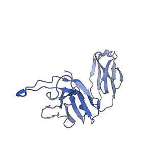 10257_6snh_H_v1-2
Cryo-EM structure of yeast ALG6 in complex with 6AG9 Fab and Dol25-P-Glc