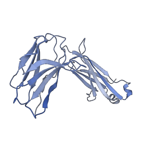 10257_6snh_L_v1-2
Cryo-EM structure of yeast ALG6 in complex with 6AG9 Fab and Dol25-P-Glc