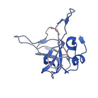 10262_6snt_AB_v1-2
Yeast 80S ribosome stalled on SDD1 mRNA.