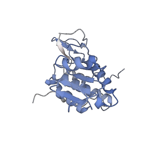 10262_6snt_A_v1-2
Yeast 80S ribosome stalled on SDD1 mRNA.