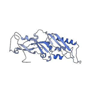 10262_6snt_B_v1-2
Yeast 80S ribosome stalled on SDD1 mRNA.