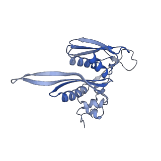 10262_6snt_C_v1-2
Yeast 80S ribosome stalled on SDD1 mRNA.