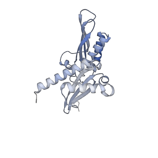 10262_6snt_D_v1-2
Yeast 80S ribosome stalled on SDD1 mRNA.