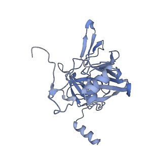 10262_6snt_E_v1-2
Yeast 80S ribosome stalled on SDD1 mRNA.