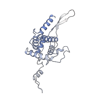 10262_6snt_F_v1-2
Yeast 80S ribosome stalled on SDD1 mRNA.