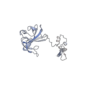 10262_6snt_G_v1-2
Yeast 80S ribosome stalled on SDD1 mRNA.