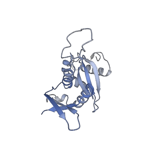 10262_6snt_H_v1-2
Yeast 80S ribosome stalled on SDD1 mRNA.