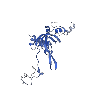 10262_6snt_I_v1-2
Yeast 80S ribosome stalled on SDD1 mRNA.