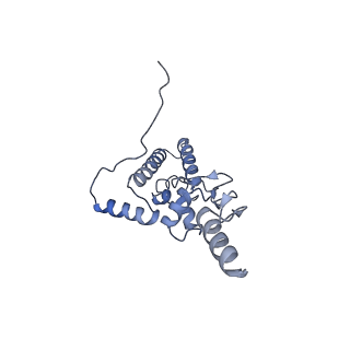 10262_6snt_J_v1-2
Yeast 80S ribosome stalled on SDD1 mRNA.