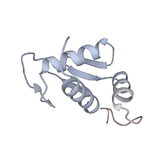 10262_6snt_K_v1-2
Yeast 80S ribosome stalled on SDD1 mRNA.