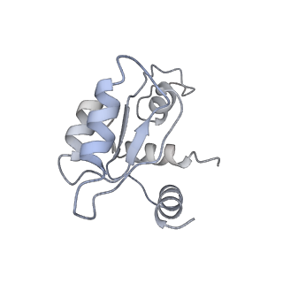 10262_6snt_M_v1-2
Yeast 80S ribosome stalled on SDD1 mRNA.