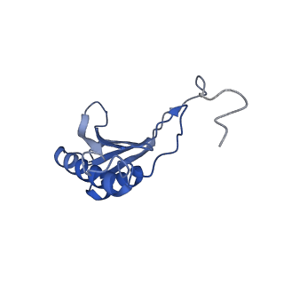 10262_6snt_O_v1-2
Yeast 80S ribosome stalled on SDD1 mRNA.