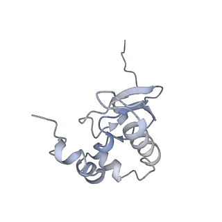 10262_6snt_P_v1-2
Yeast 80S ribosome stalled on SDD1 mRNA.